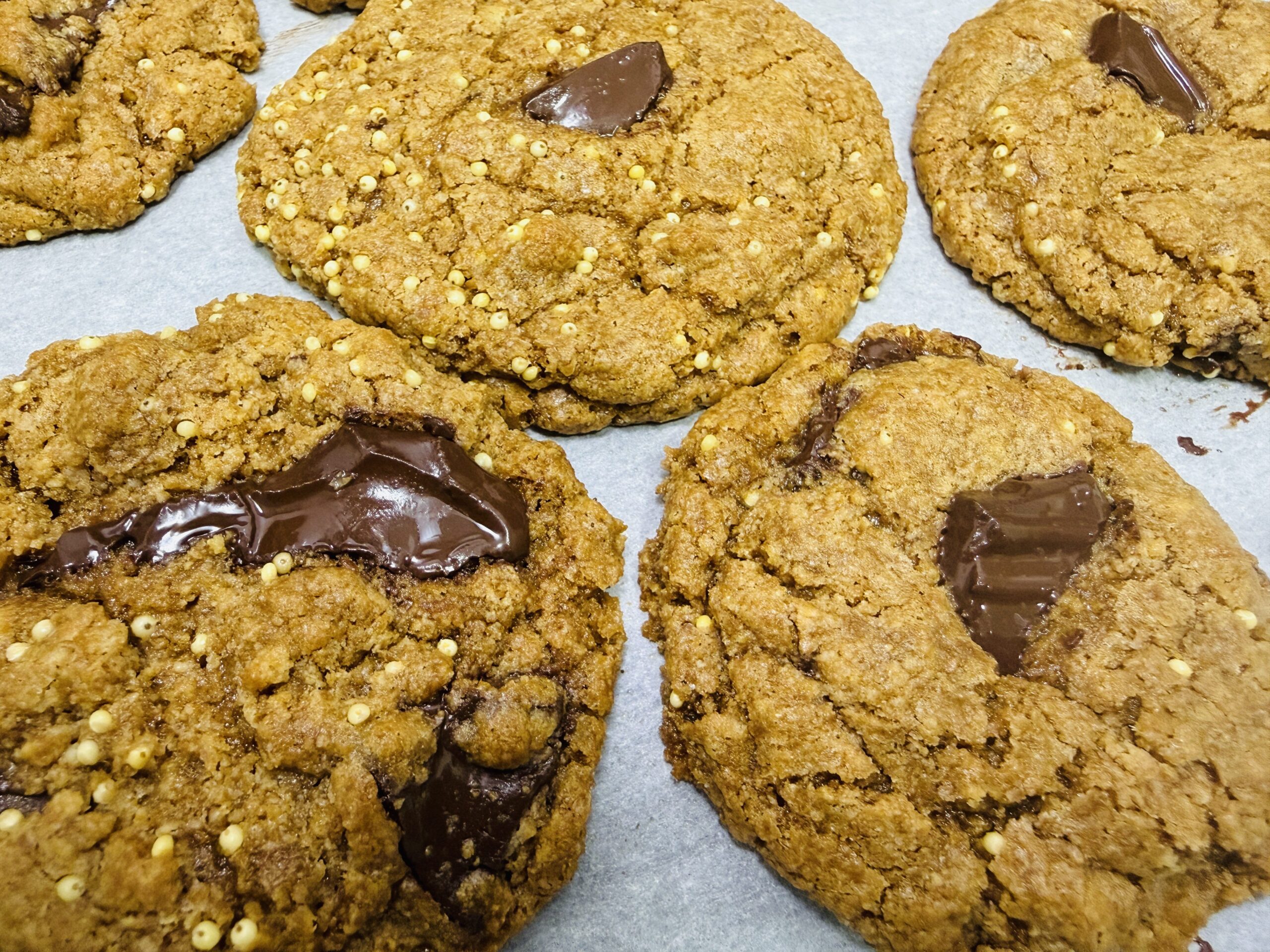 Fresh milled spelt chocolate chip cookies on a parchment lined baking sheet fresh from the oven
