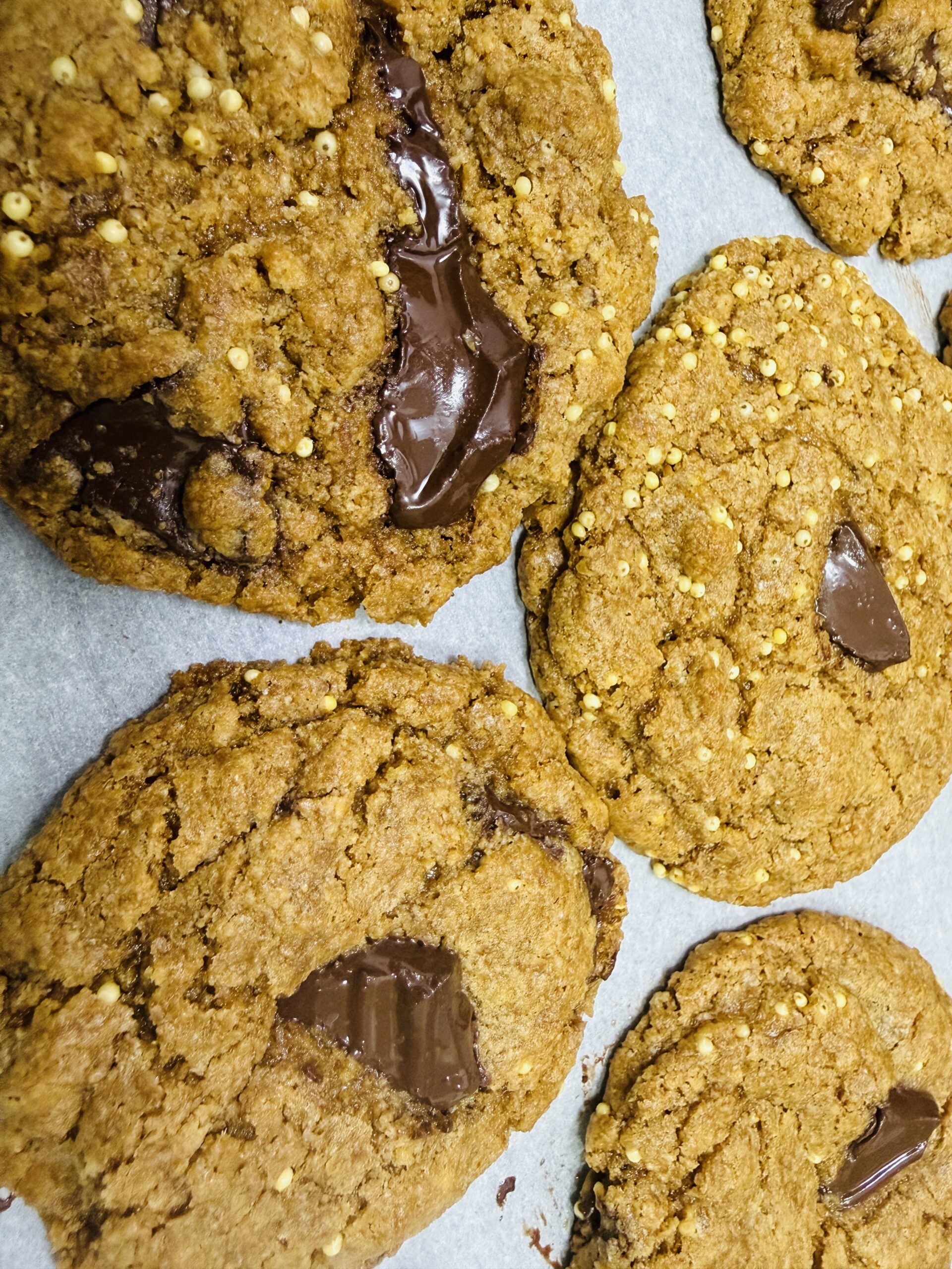Fresh milled spelt chocolate chip cookies on a parchment lined baking sheet fresh from the oven